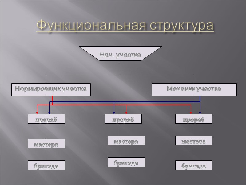 Функциональная структура Функциональная структура